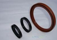 氟膠油封,丁腈油封,密封件,密封圈,骨架油封-邢臺(tái)環(huán)宇密封件廠(chǎng)
